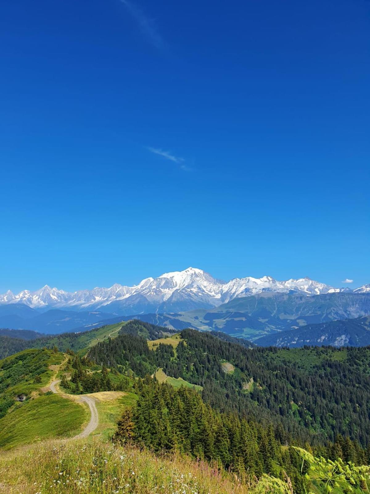 Appartement La Duchere Le Plan-La Giettaz Massif Des Aravis Exterior photo