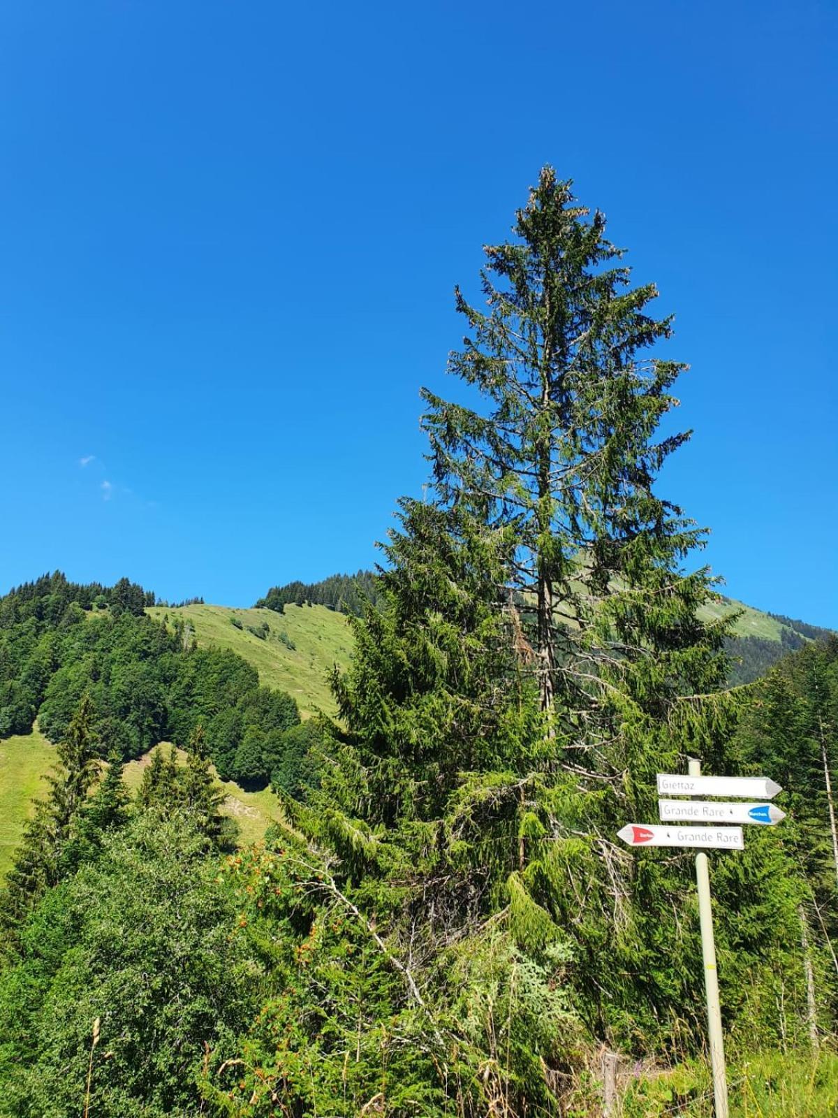 Appartement La Duchere Le Plan-La Giettaz Massif Des Aravis Exterior photo